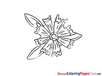 Download Flower printable Coloring Pages