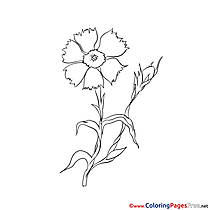 Drawing Colouring Sheet download free