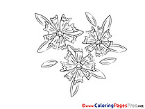 Drawing for free Coloring Pages download