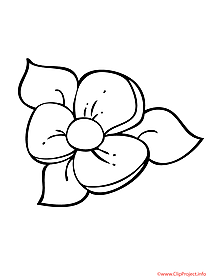 Flower sheet for coloring