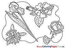 Flowering download Colouring Sheet free