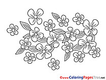 Flowers for Kids printable Colouring Page