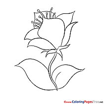 For Children Flower free Coloring Pages