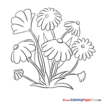 For free Flowers Coloring Pages download