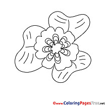 For Kids Flower printable Colouring Page