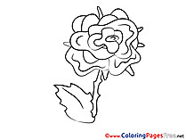 Free Rose printable Coloring Sheets