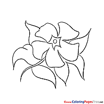 Image Flower for free Coloring Pages download