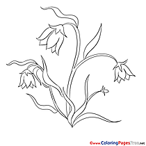 Image Flowers for Kids printable Colouring Page