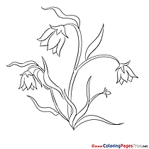 Image Flowers for Kids printable Colouring Page