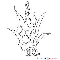 Iris for Children free Coloring Pages