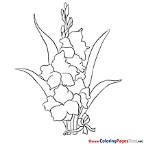 Iris for Children free Coloring Pages
