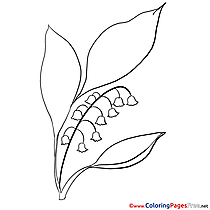 Leaves Flower download Colouring Sheet free 