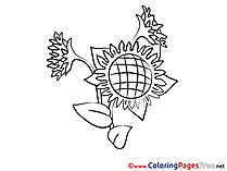 Litmus Colouring Sheet download free