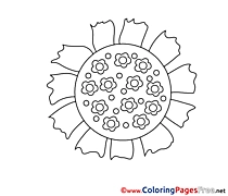 Litmus Colouring Sheet download free