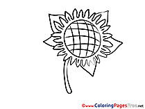 Litmus download printable Coloring Pages