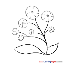 Picture Flowers Children download Colouring Page