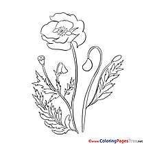 Poppy Children Coloring Pages free