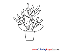 Pot download printable Coloring Pages