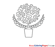 Pot for free Coloring Pages download