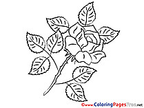 Rose Kids download Coloring Pages