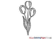 Tulips Kids free Coloring Page