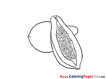 Avocado free Colouring Page download