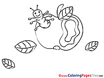 Caterpillar Apple for Children free Coloring Pages