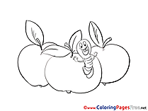 Caterpillar Apple free Colouring Page download