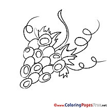 Coloring Pages for free Grapes