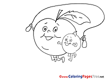 Colouring Page Apples printable free