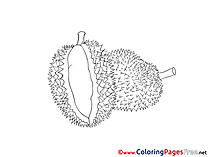 Kids free Coloring Page Fruit