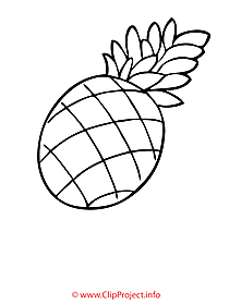 Pineapple coloring page