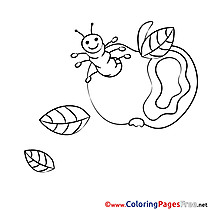 Printable Coloring Sheets Apple download