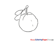 Quince Coloring Sheets download free