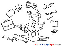 Rabbit Colouring Sheet Supplies  download Graduation