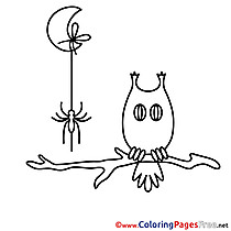 Branch Owl Kids Halloween Coloring Pages