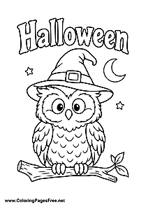 Halloween Owl Wearing a Witch Hat on a Branch Coloring Page