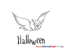 Owl free Colouring Page Halloween