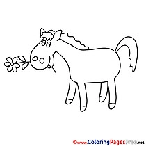 Horses coloring pages