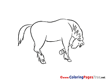 Horse for free Coloring Pages download