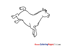 Image Horse Coloring Sheets download free