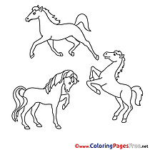 Kids download Coloring Horses Pages