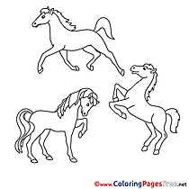 Kids download Coloring Horses Pages
