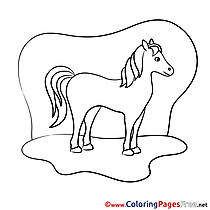 Meadow Horse Coloring Pages for free