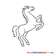 Stallion Coloring Sheets download free