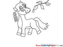 Twig Pony Colouring Sheet download free