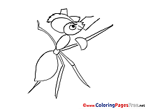 Ant Musketeer download Colouring Sheet free