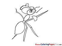 Ant Musketeer download Colouring Sheet free
