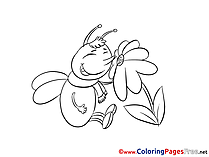 Bee Flower printable Coloring Sheets download