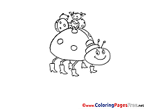 Family Lagybugs for free Coloring Pages download